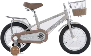 Bicycles: BICYCLE LIXIANG GREY12